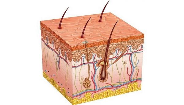 علل ایجاد موهای زیر پوستی